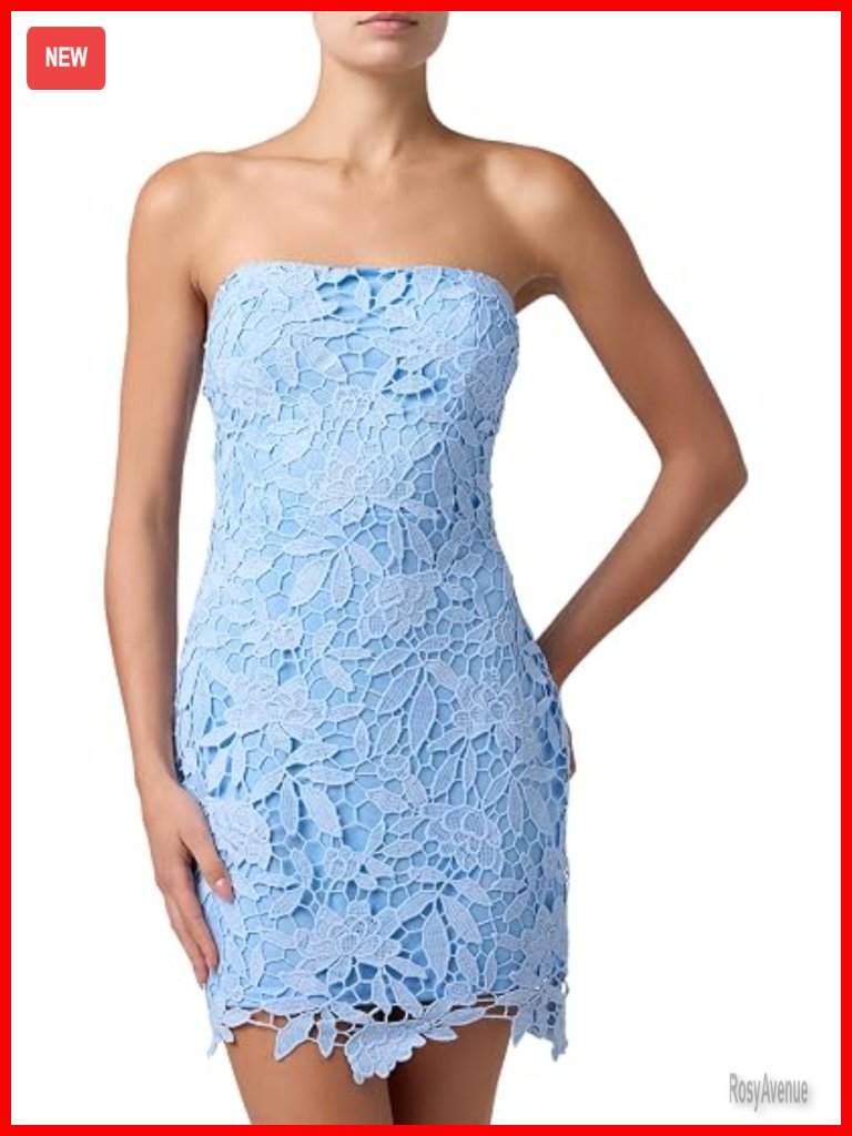 Strapless Crochet Lace Mini Dress - Romantic Party Sheath Dress
